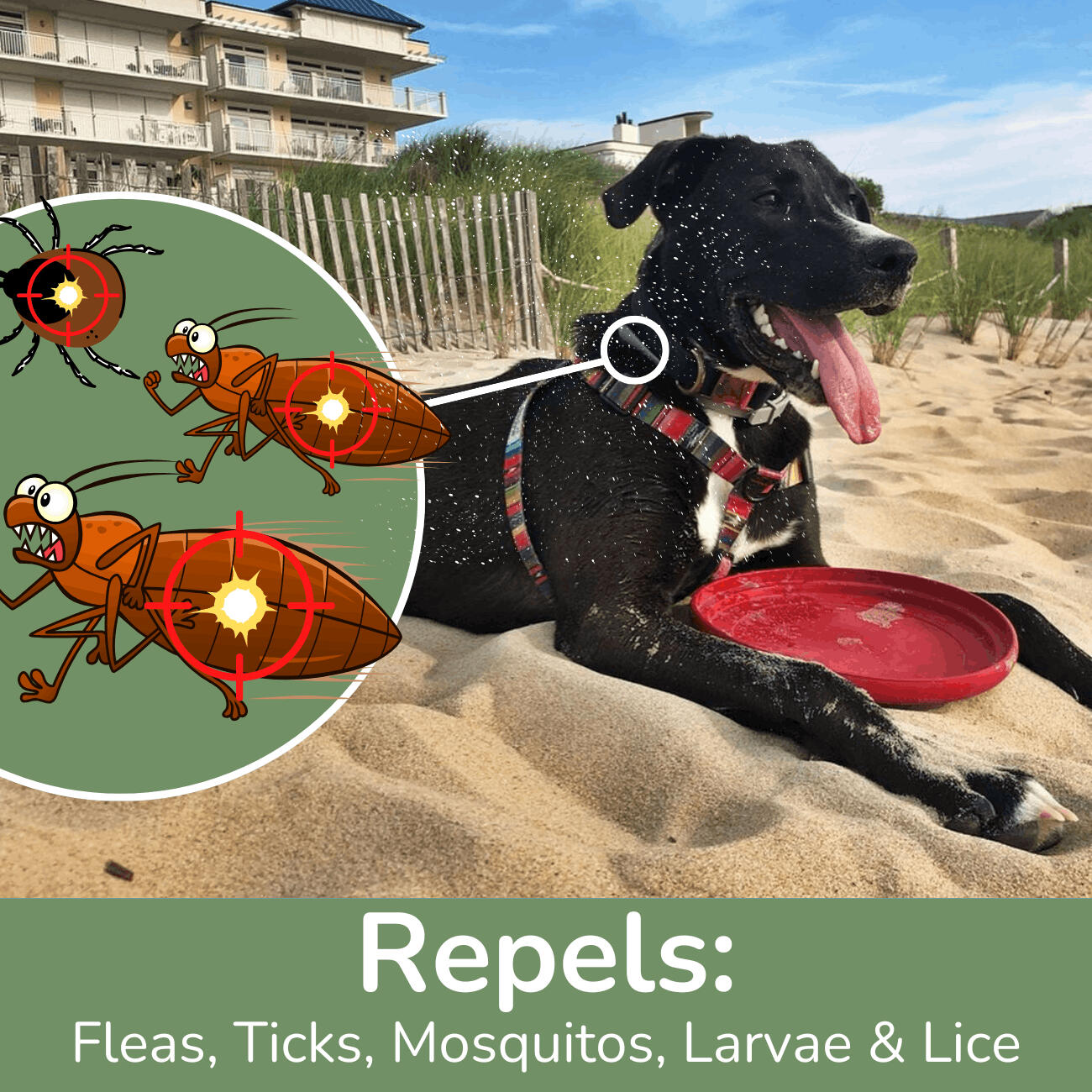 DEWEL Natural Flea and Tick Collar for Dogs — (8-Month Protection)