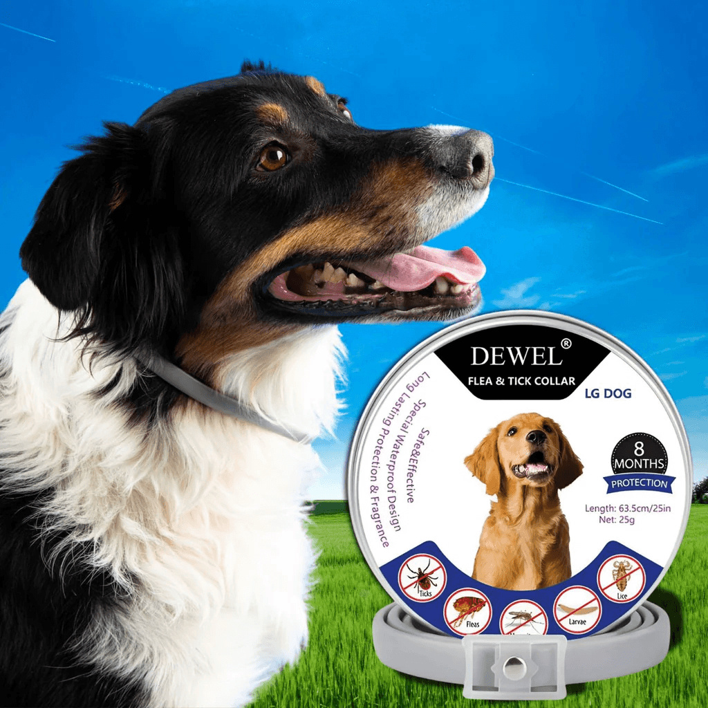 #1 — DEWEL Natural Flea & Tick Prevention Collar for Dogs